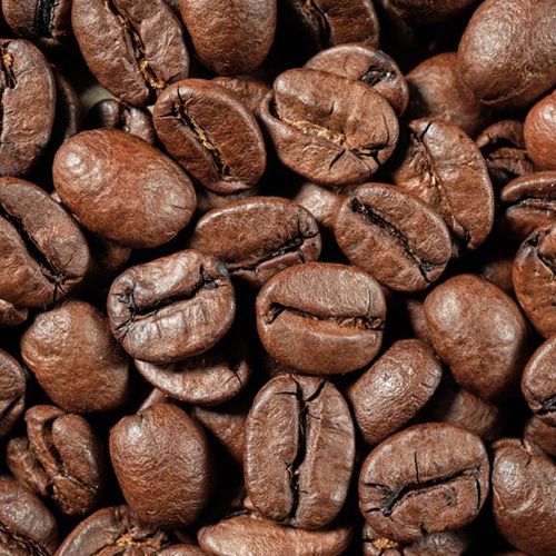Menu Robusta